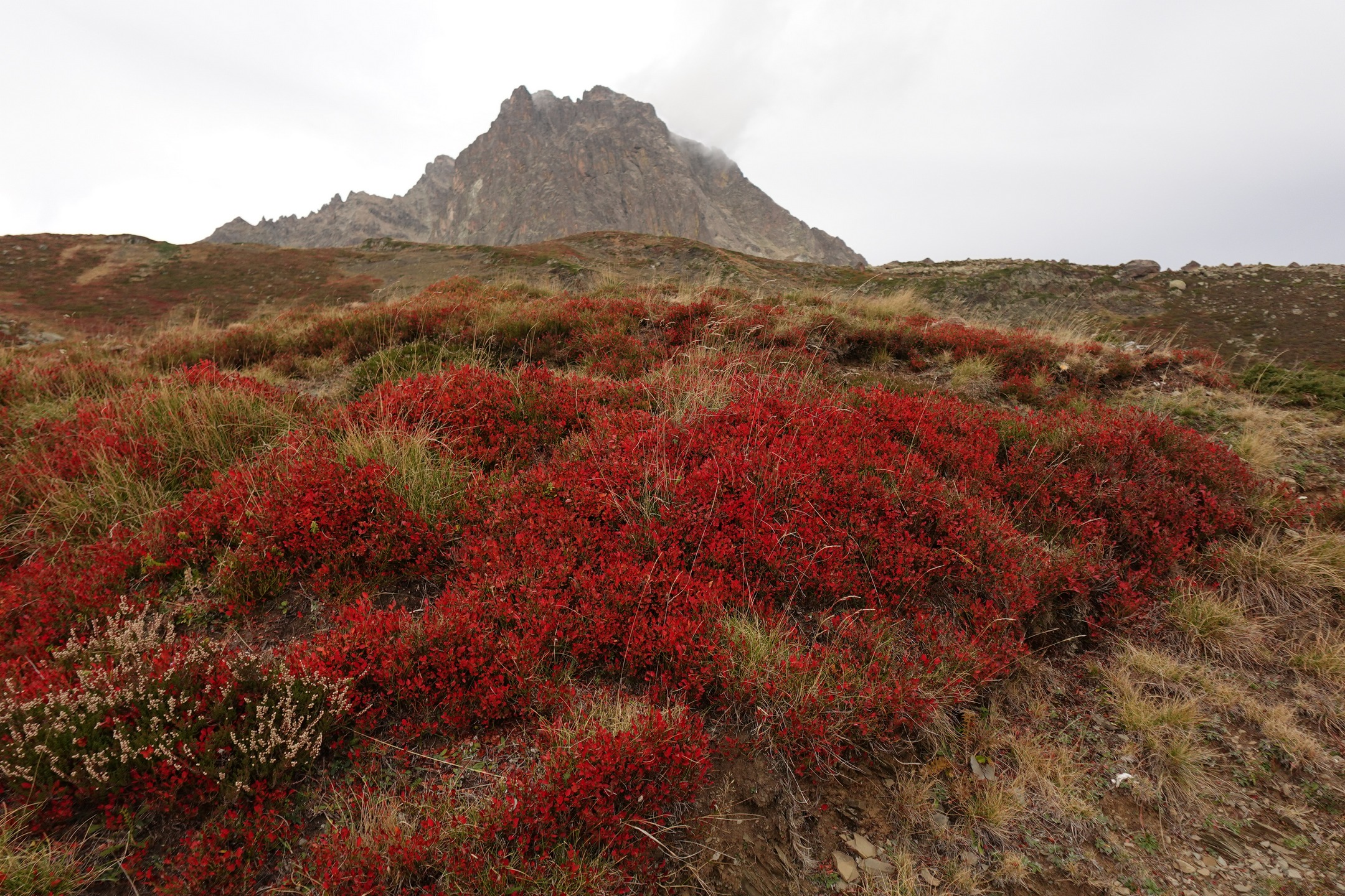 Crêtes de Moustardé dimanche 19 octobre