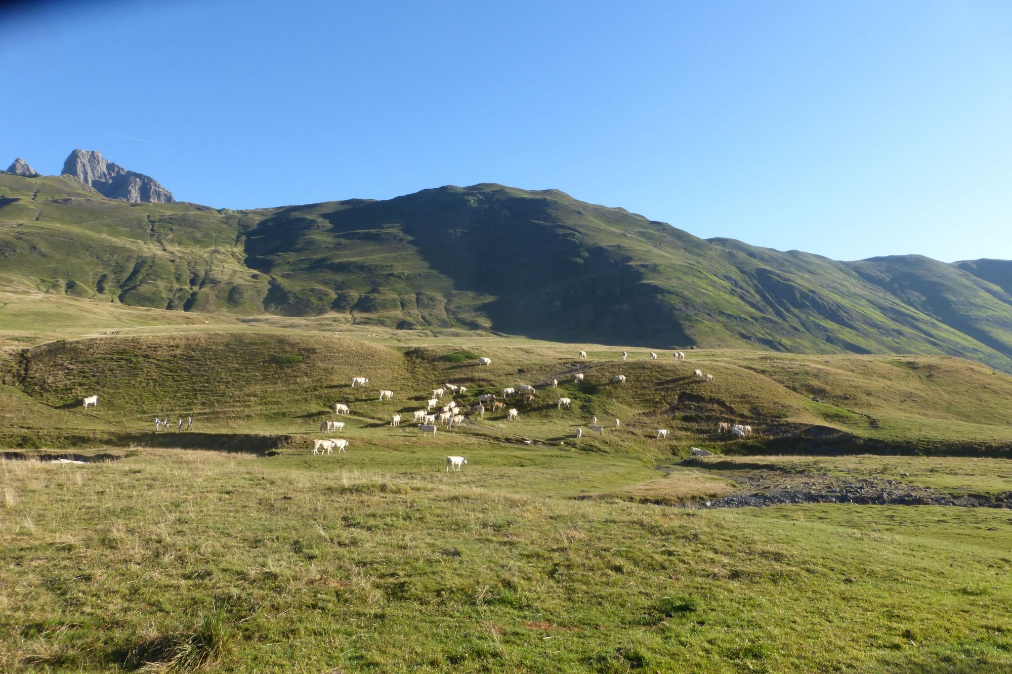 Pène de Peyreget dimanche 4 Aout 