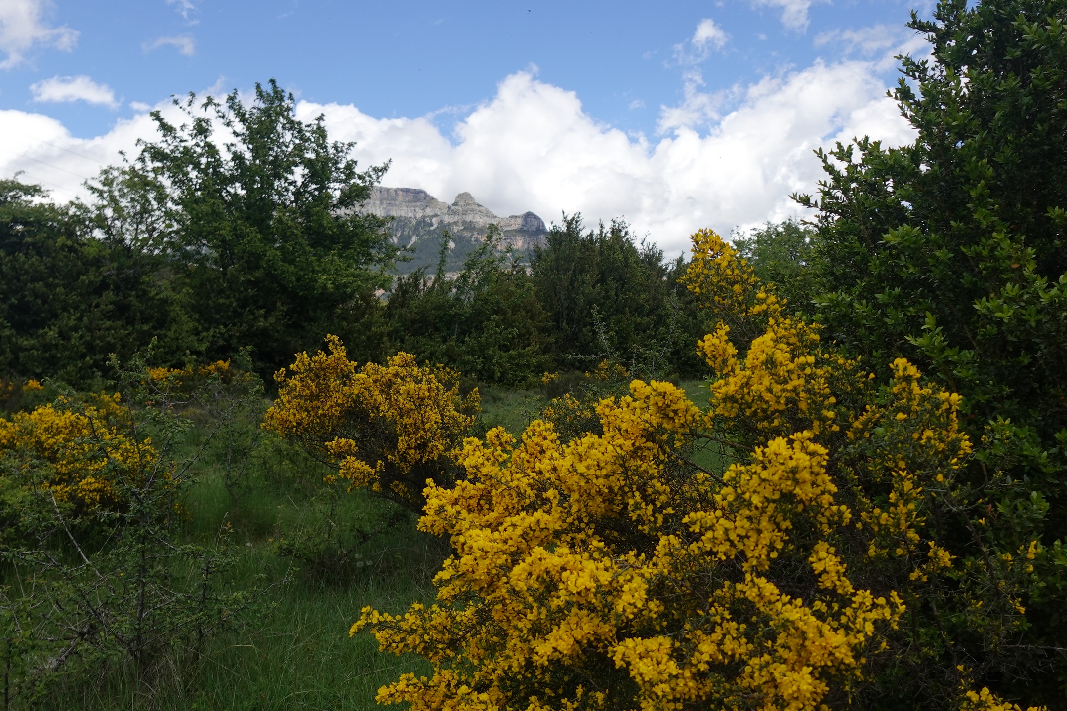 Buerba à Yeba dimanche 10 mai